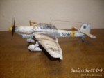 Ju-87 D-3 (19).JPG

83,79 KB 
1024 x 768 
02.04.2013
